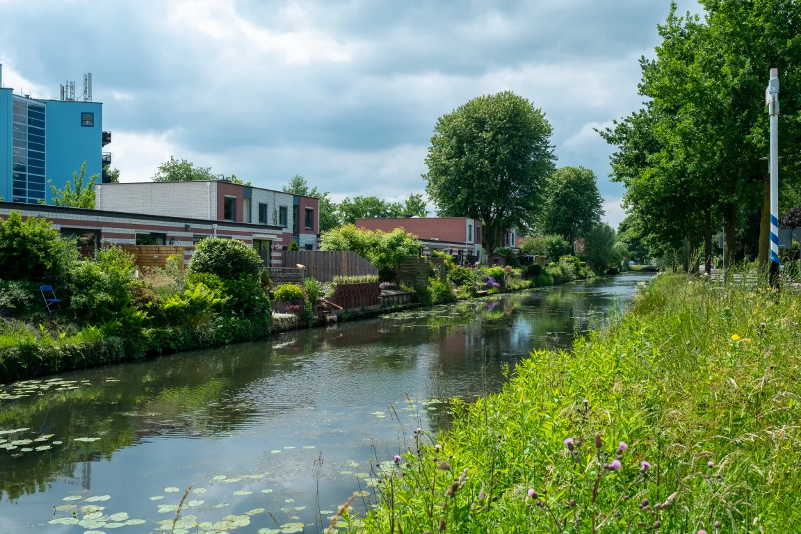 Kattenbroek