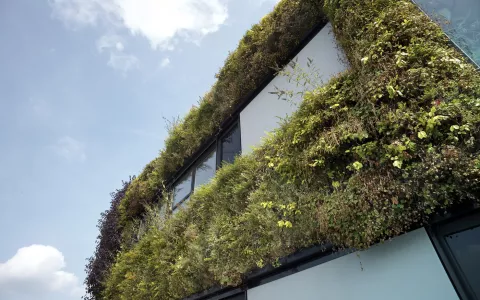Groene muren op bedrijventerrein Burgweg