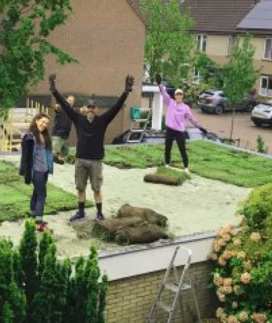 Mensen die een groen dak aanleggen