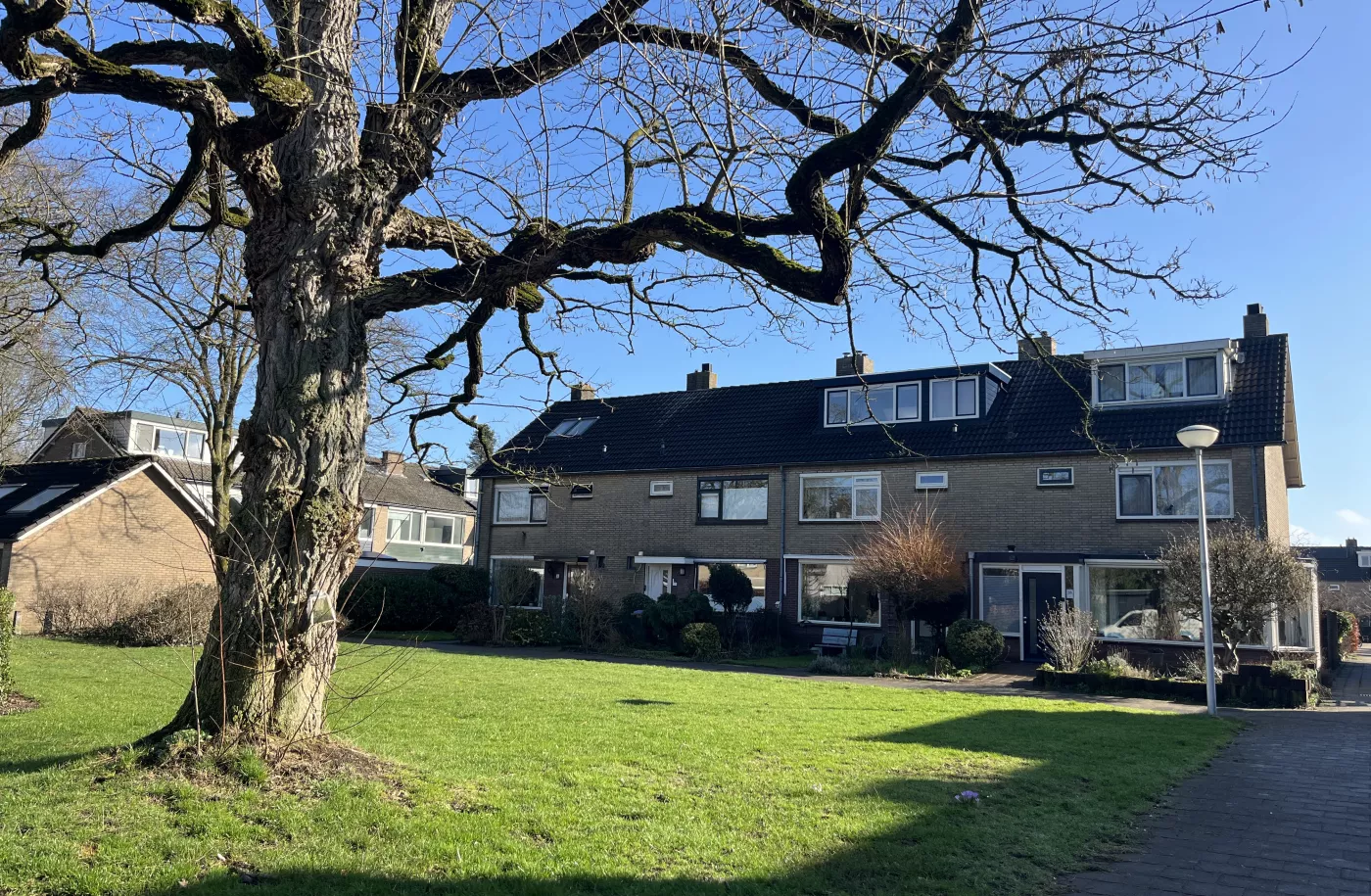 Foto van een grasveld, oude boom en rijwoningen aan de Lindelaan in Leusden